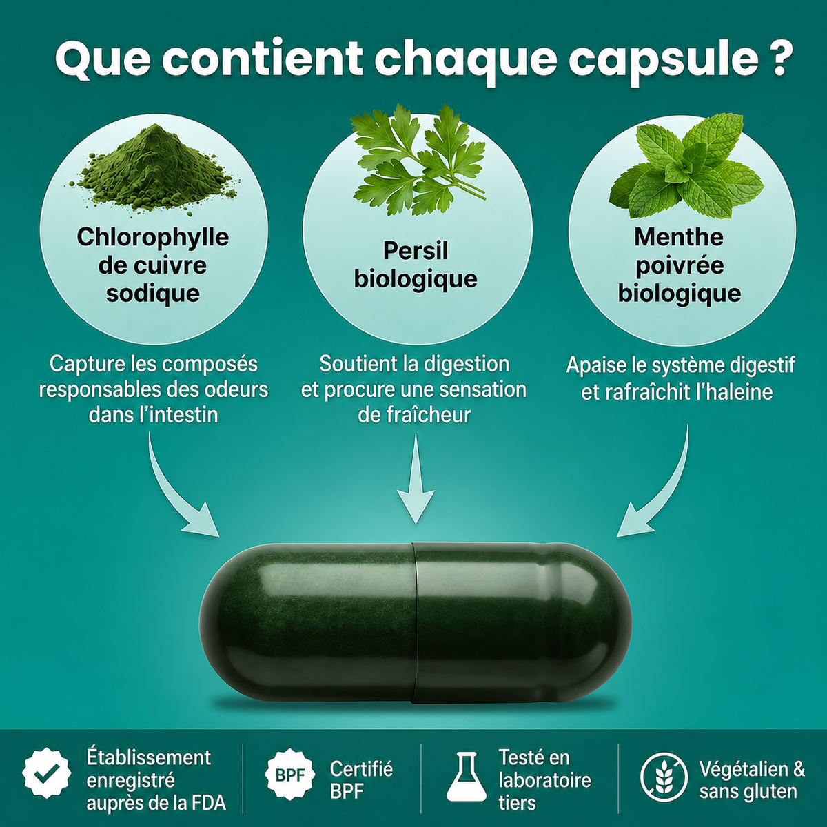 Déodorant Interne Naturel à la Chlorophylle | Fraîcheur Corporelle Complète